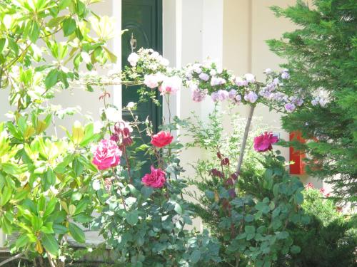 a bunch of flowers in front of a house at Liogerma Apartments in Tsoukaladhes