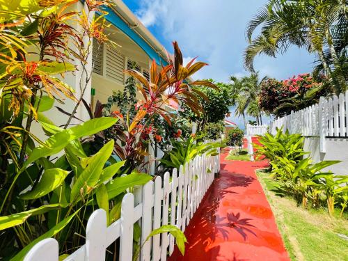 a white fence next to a house with plants at Blue Lagoon, cottage les pieds dans l eau in Terre-de-Haut