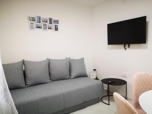 ein Wohnzimmer mit einem grauen Sofa und einem Flachbild-TV in der Unterkunft Apartman Hobit in Opatija