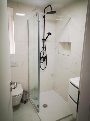 ein Bad mit einer Dusche, einem WC und einer Glastür in der Unterkunft Apartman Hobit in Opatija