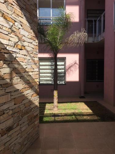a palm tree in front of a building with a stone wall at Real .Departamento in Luján