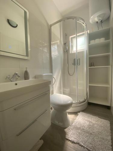 uma casa de banho com um chuveiro, um WC e um lavatório. em Apartman Branka em Dobropoljana