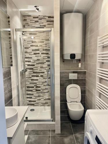 une salle de bain avec toilettes, lavabo et douche dans l'établissement Superbe 40 m2 tout confort au cœur de Dijon, à Dijon