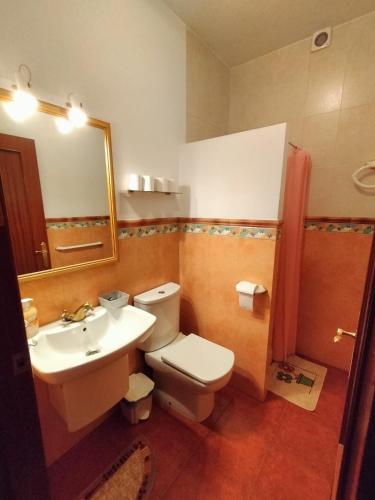 a bathroom with a toilet and a sink and a mirror at Casa Juanito in Riópar