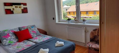 ein Wohnzimmer mit einem Sofa und einem Fenster in der Unterkunft Willa Anna in Rajcza