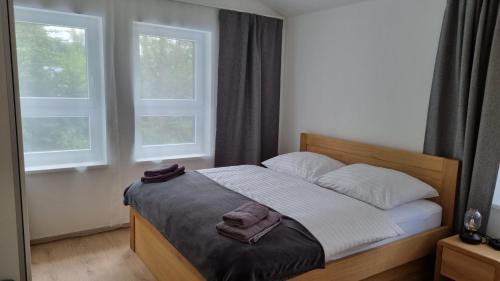 1 cama en un dormitorio con 2 ventanas en Apartmány Mlýnská, en Horní Maršov