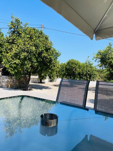 Φωτογραφία από το άλμπουμ του Citrus garden στην Παλαιά Επίδαυρο