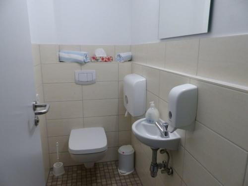 a bathroom with a toilet and a sink at Bernsteinreiter Erlebnishof Barth, Blockhütte 20 in Barth