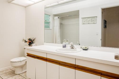 een badkamer met een wastafel, een toilet en een spiegel bij Manatee River House in Bradenton