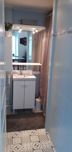 a bathroom with a sink and a mirror at Studio 30 m2 refait à neuf idéalement situé centre ville et plage in Wimereux