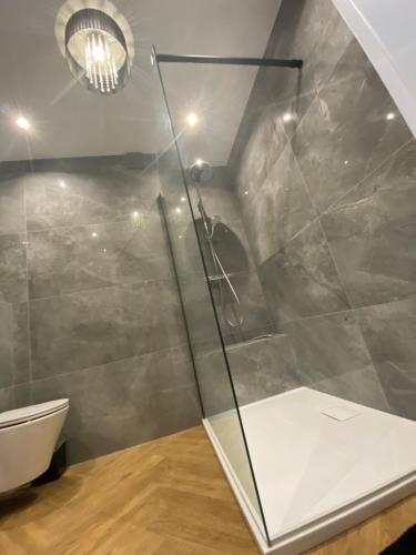 a bathroom with a glass shower with a toilet at Apartament Mazovia Prestige in Płock