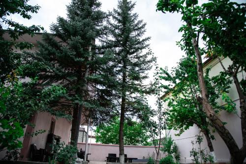 two tall trees in front of a building at Private house, Own and magnificent villa, Apartments in Yerevan
