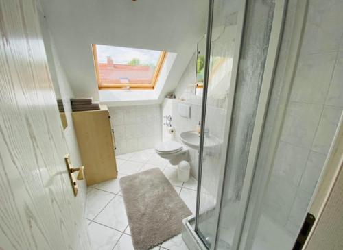 a bathroom with a toilet and a glass shower at Seeglück22 in Reichenau