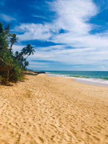 a sandy beach with palm trees and the ocean at Madampa Ganga Villa. in Ambalangoda