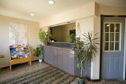 un vestíbulo con un mostrador con plantas y un espejo en Americas Best Value Inn Greenbush Albany, en East Greenbush
