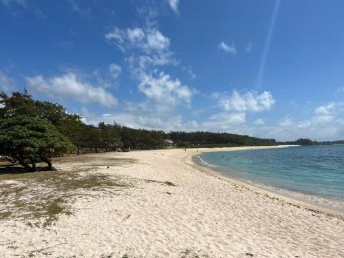 a sandy beach with trees and the ocean at Le coquillage in Trou aux Biches