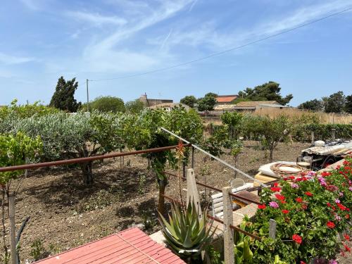 a view of a garden with plants and flowers at Casetta di campagna da Enzo in Rilievo