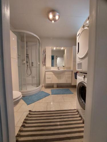 a bathroom with a shower and a washing machine at Egil's Vacation House in Lillehammer