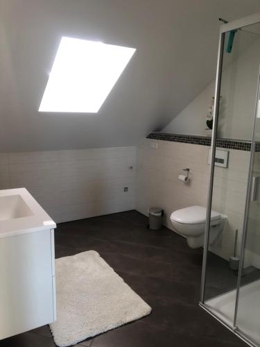 a bathroom with a toilet and a sink and a skylight at Zimmervermietung Krug in Eberhardzell