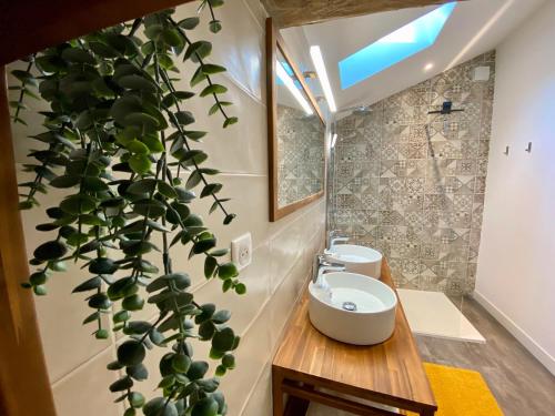 a bathroom with a plant on the wall at Aux Rives de la Courtade in Rivières