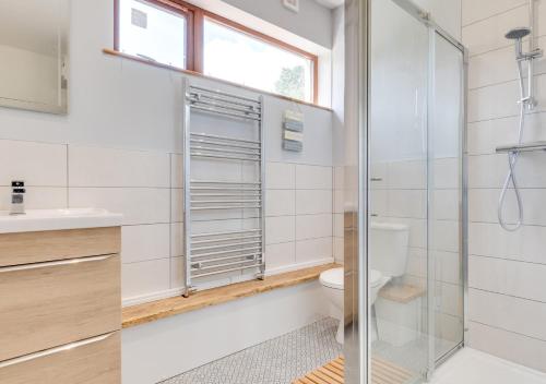 a bathroom with a shower and a toilet at Bryn Triban in Llanddyfnan