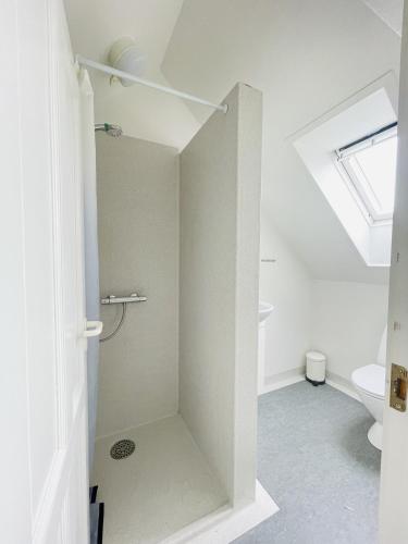 a white bathroom with a shower and a toilet at aday - Charming loft studio in Aalborg