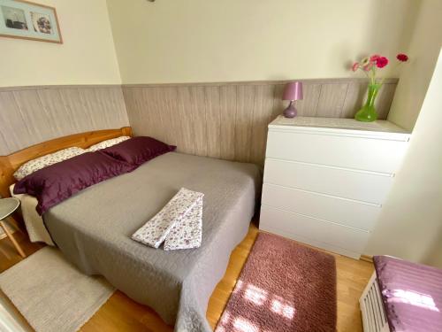 Dormitorio pequeño con cama y vestidor en Teresa Apartment, en Budapest