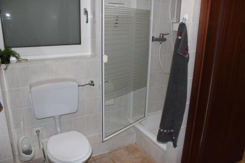 a bathroom with a toilet and a glass shower at Landluft 