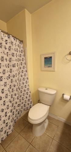 a bathroom with a toilet and a shower curtain at My Home in Orlando in Kissimmee