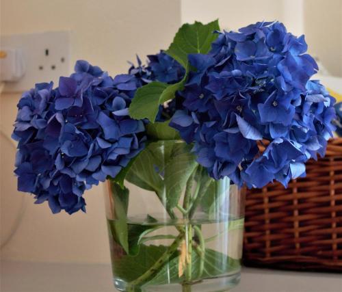 a glass vase filled with blue flowers on a table at Remarkable Apartment in Kenmare Ireland in Kenmare