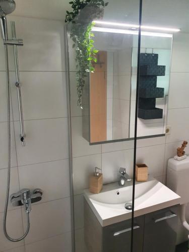 a bathroom with a sink and a mirror at Modernisierte Ferienwohnung Naturseelen mit Schwimmbad und Sauna in Braunlage