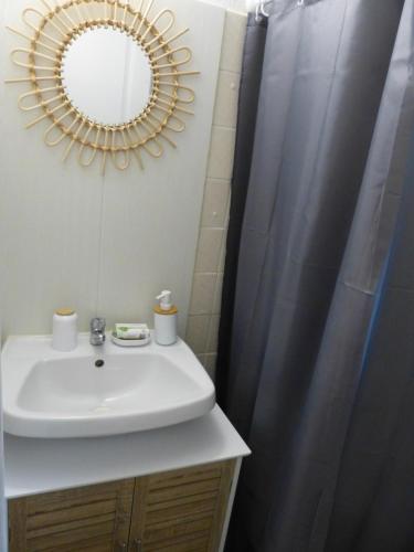 een badkamer met een wastafel, een spiegel en een douche bij 4-Gîte 4 personnes avec piscine in Saint-Aubin-de-Nabirat