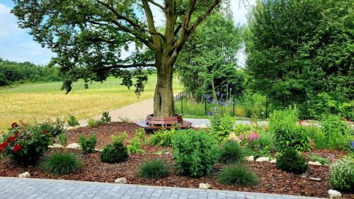 a garden with a tree and some plants at Winnica NOVI - apartamenty in Cianowice Duże