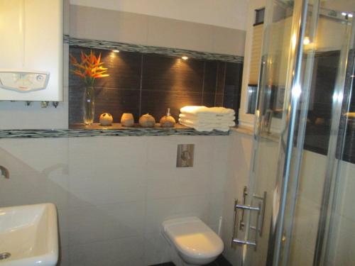 a bathroom with a shower and a toilet and a sink at Apartament Blue eye in Żarnowska