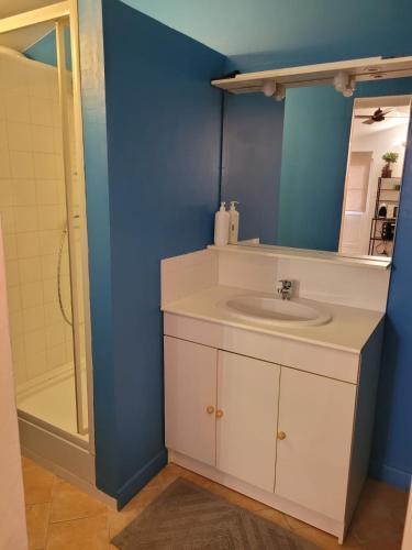 une salle de bain avec un lavabo blanc et une douche dans l'établissement Domaine de La Mayonnette, à La Crau