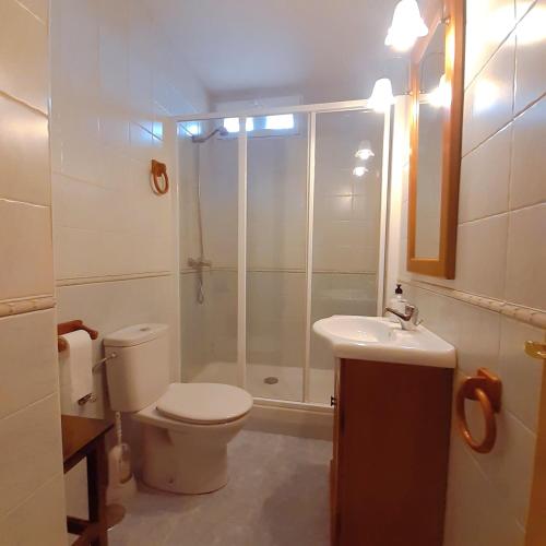 a bathroom with a shower and a toilet and a sink at El Rincón del Sanabrés, Peñalara in Rascafría