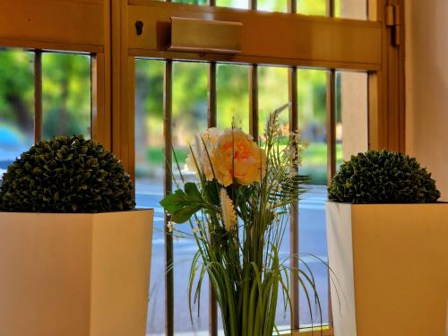 two vases with flowers in them in front of a window at Hotel Sanmicheli in Verona