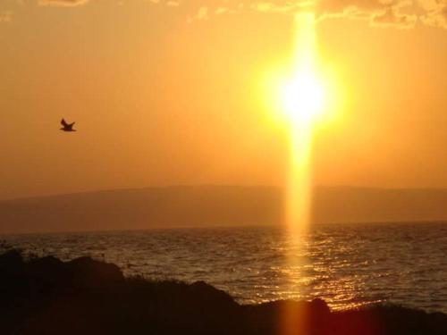 un avion survolant l'océan au coucher du soleil dans l'établissement Villa Mely CRIKVENICA KVARNER, à Crikvenica