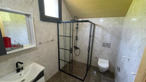 a bathroom with a shower and a toilet and a sink at DEVRAN in Çamlıhemşin