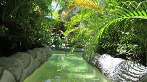a pool of water in a garden with palm trees at Muúnek Hotel Boutique Art & Spa, adults only in Barra Vieja