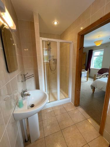 a bathroom with a sink and a shower at Deerbrook House B&B in Cahir