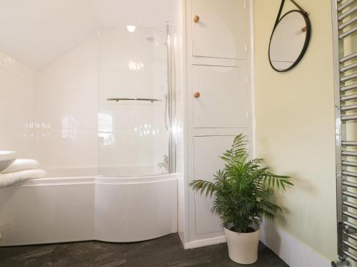 a bathroom with a shower and a potted plant at Hops Cottage in Ashbourne