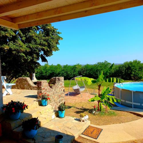 a patio with a pool and a cat laying on the ground at Honey hill apartment Fruska Gora in Čerević