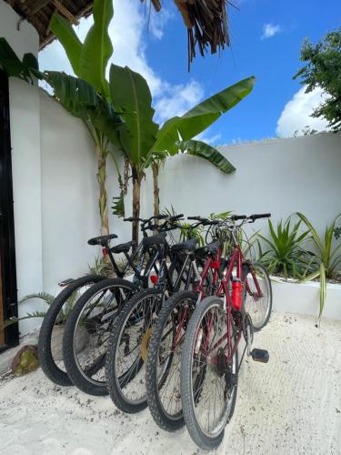 eine Reihe von Fahrrädern, die neben einer Wand geparkt sind in der Unterkunft Olamanga Beach Villa in Jambiani