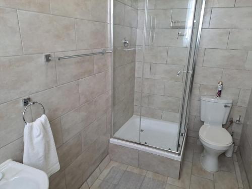 a bathroom with a shower and a toilet and a sink at Casa de Romaria in Kimberley