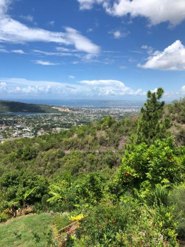a view of a city from the top of a hill at Tranquility Estate in Kingston