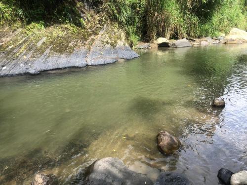 a river with some rocks in the water at Cabaña tipo glamping en finca cafetera con zonas verdes, avistamiento de aves, paisaje cafetero in San Francisco