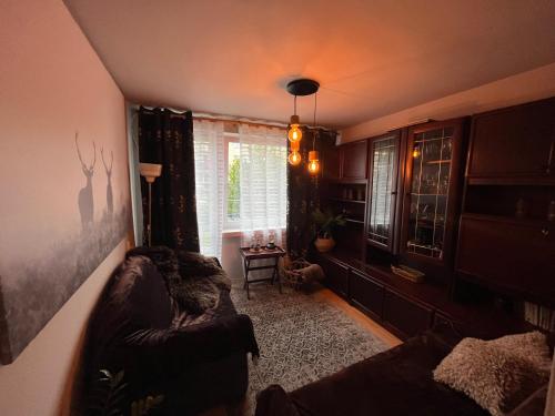uma sala de estar com um sofá e uma janela em Przytulny Apartament em Ostrowiec Świetokrzyski