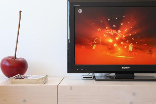 TV/Unterhaltungsangebot in der Unterkunft Sea view apartment Mariakerke-Bad - La Brise