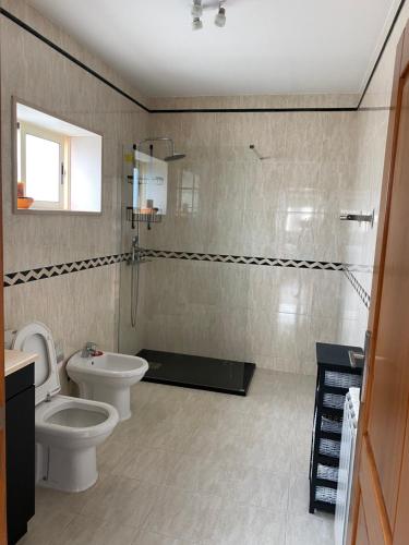 La salle de bains est pourvue de toilettes, d'un lavabo et d'une douche. dans l'établissement Moderne Villa in Aveiro Portugal, à Gafanha da Vagueira